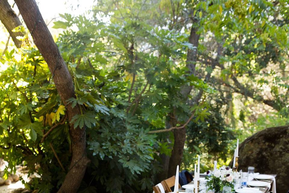 Farm tablescape