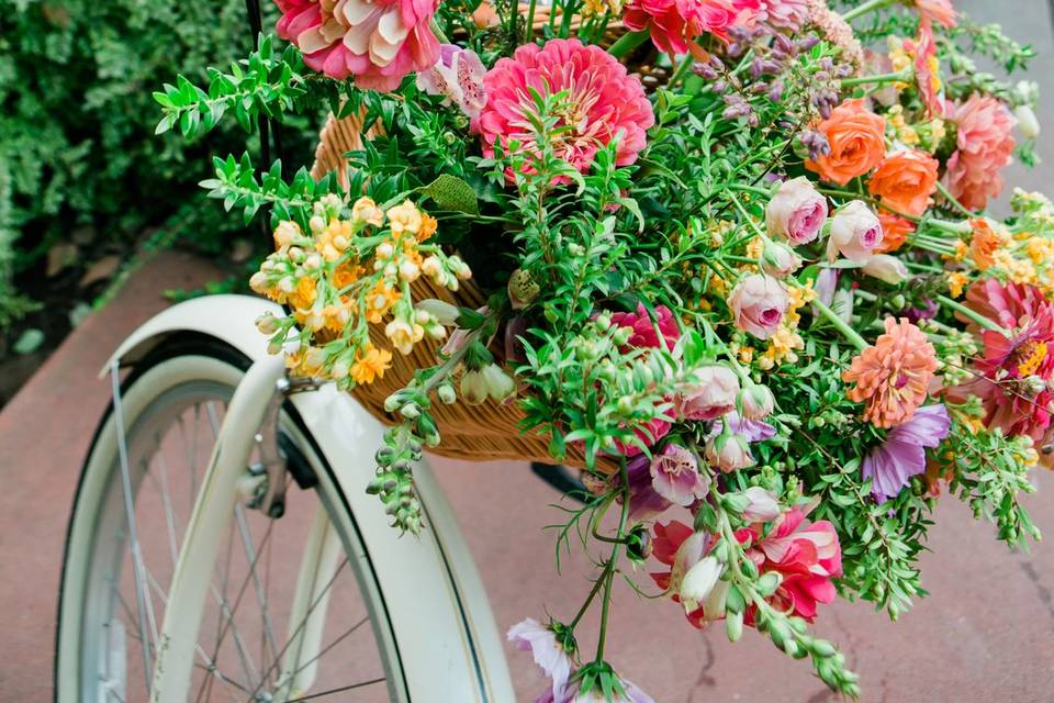 Bike basketful of locals