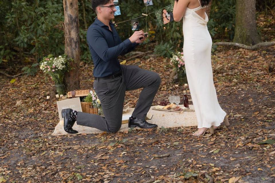 Proposal