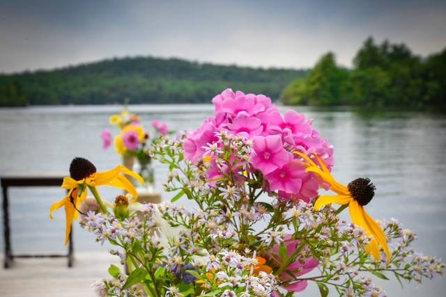 Molly Breton Photography