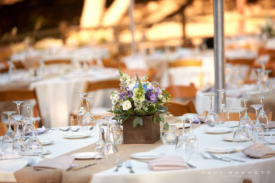 Linda Rae Events