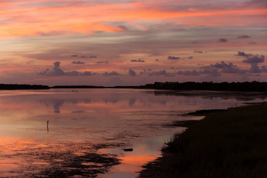 Tampa Bay Watch