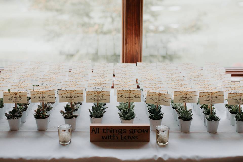 Table cards on succulents