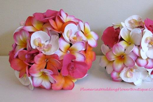 Plumeria and Orchid