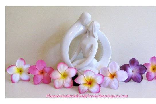 Plumeria flowers