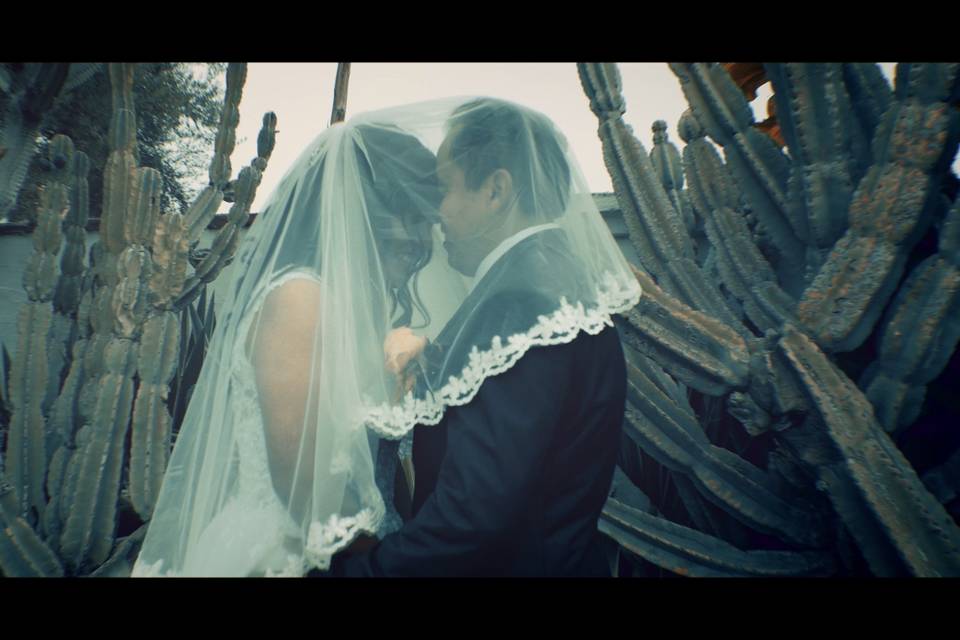 E & R stills from video