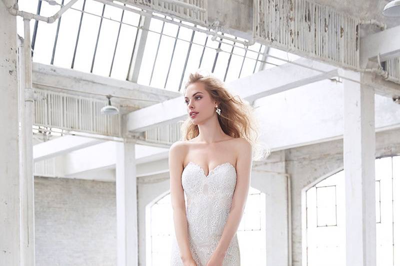 Madison James	MJ371	<br>	On this strapless ballgown, gossamer floral embroidery is bold in scale but sophisticated in its translucent effect.