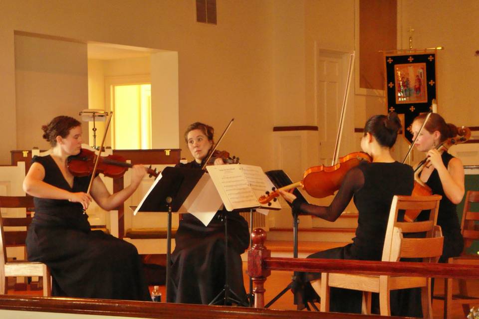 Mayfield Strings