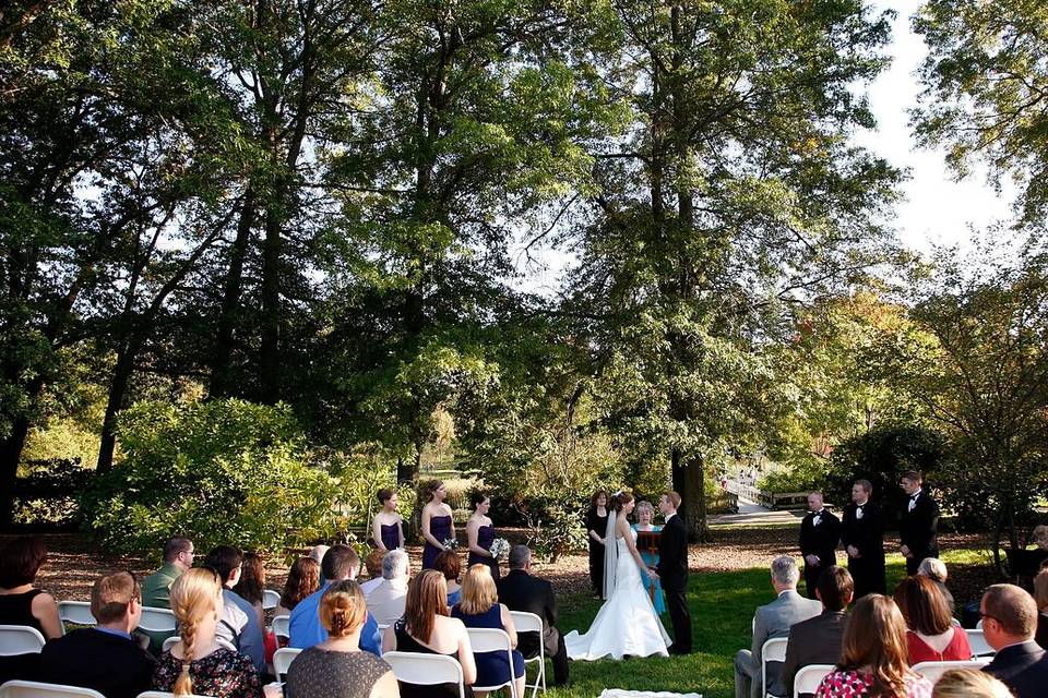 Wedding ceremony