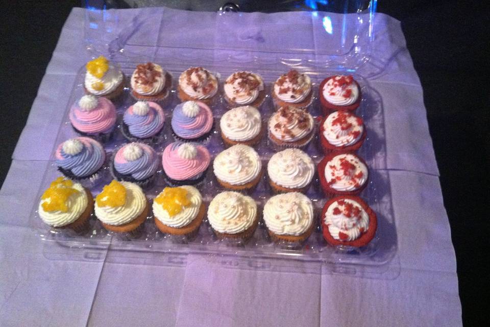 Hibiscus Delights