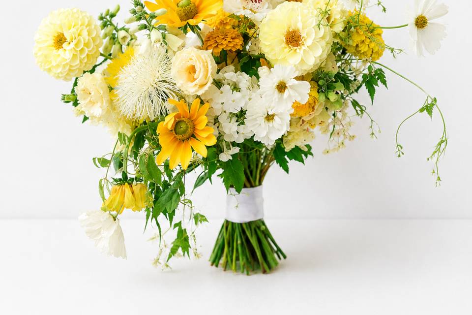 6ea05671-9d0d-4645-bbcf-0fd1296b98f4.png