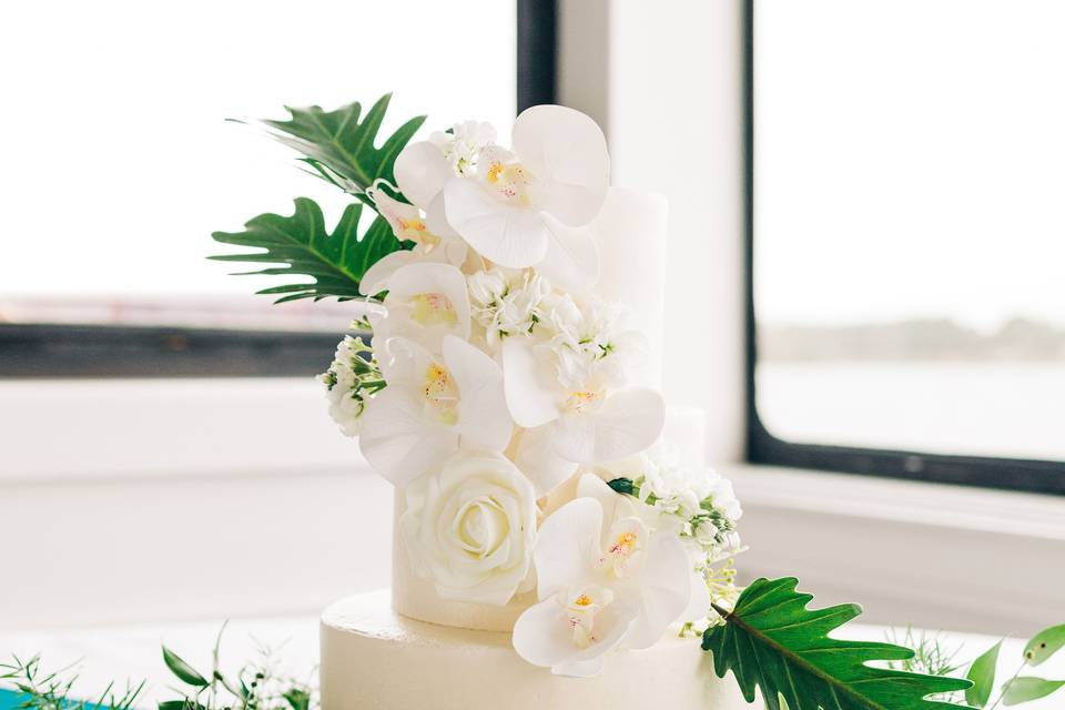 Cake SunQuest Cruises
