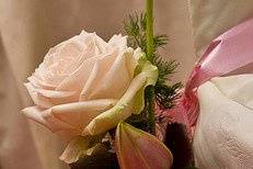 We can help you add the smallest of details to your tables, archways, or pews.
