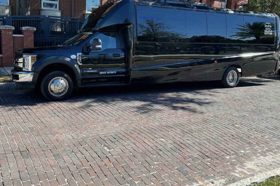Skyline Limousine Tampa