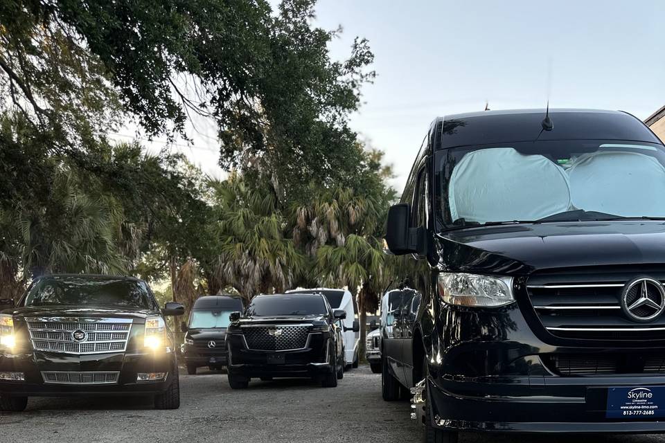 Skyline Limousine Tampa
