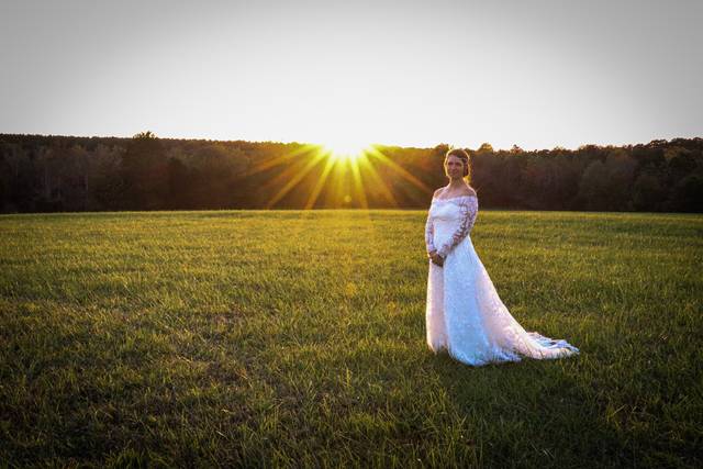 Dragonfly Designs Photography