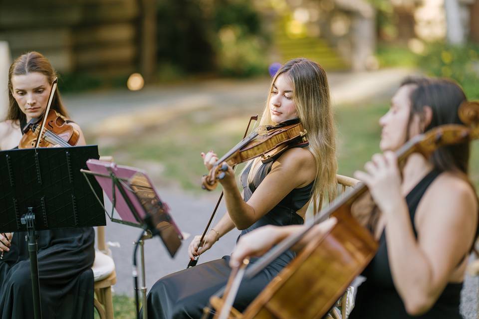 Strings