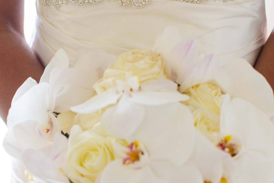 Modern Elegance Photography