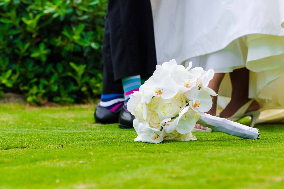 Modern Elegance Photography