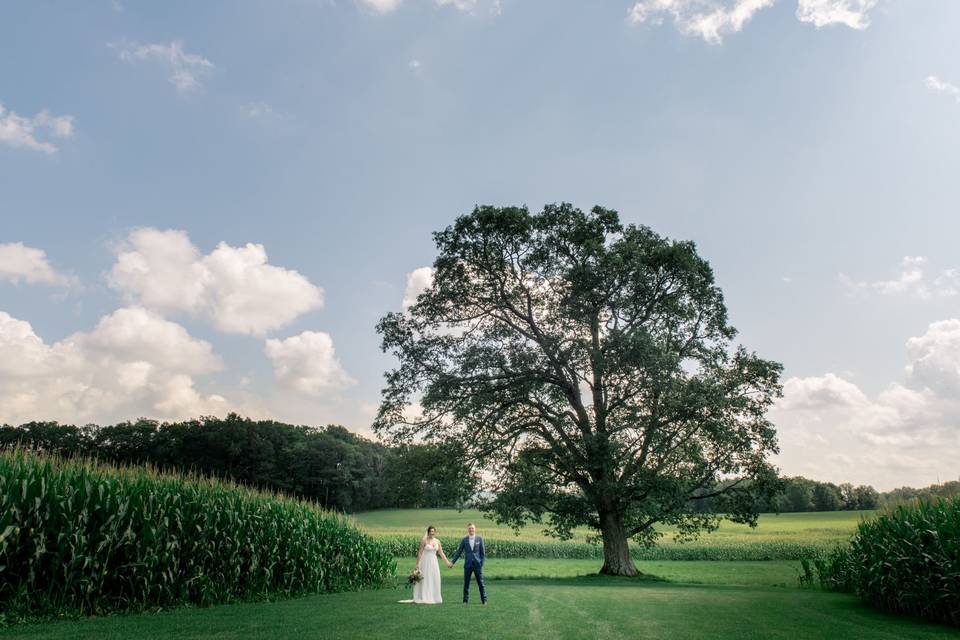 Summer wedding in Western Maryland