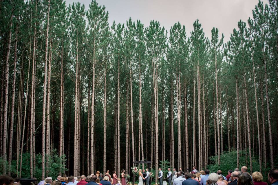 Wedding Ceremony in Pine Grove Forest in Pennsylvania