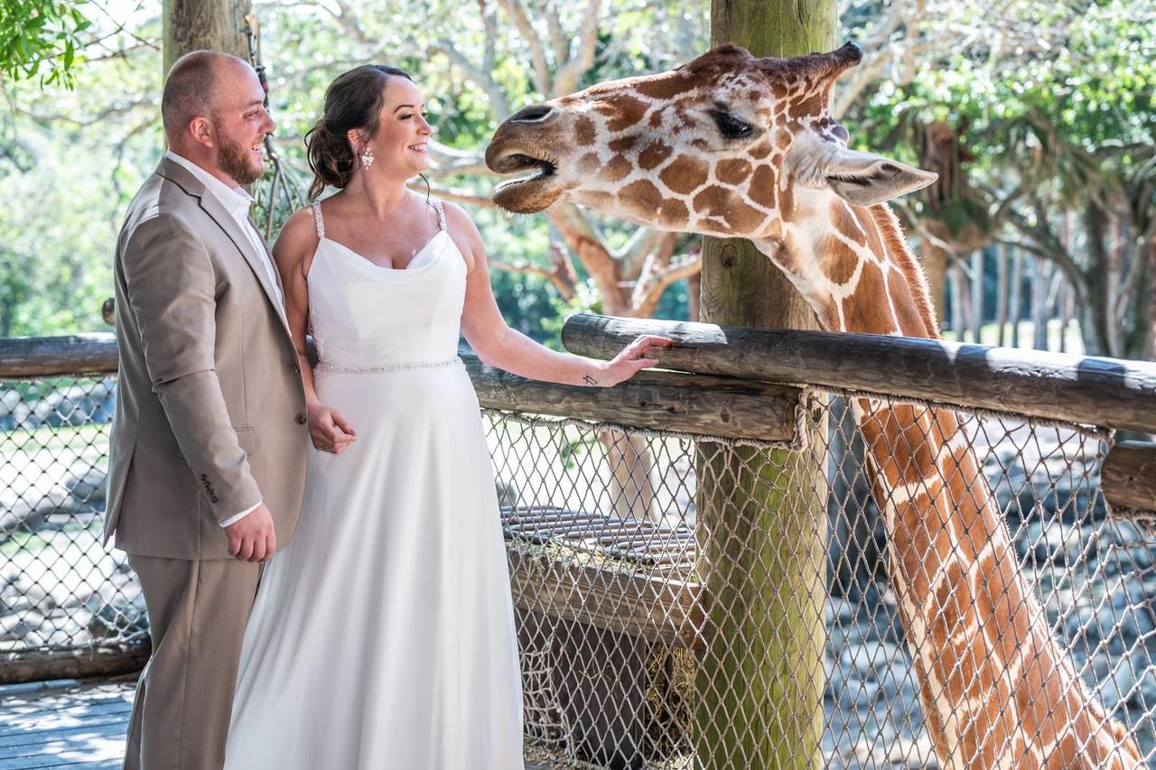 Nyami Nyami River Lodge at The Brevard Zoo - Museum Weddings - Melbourne,  FL - WeddingWire