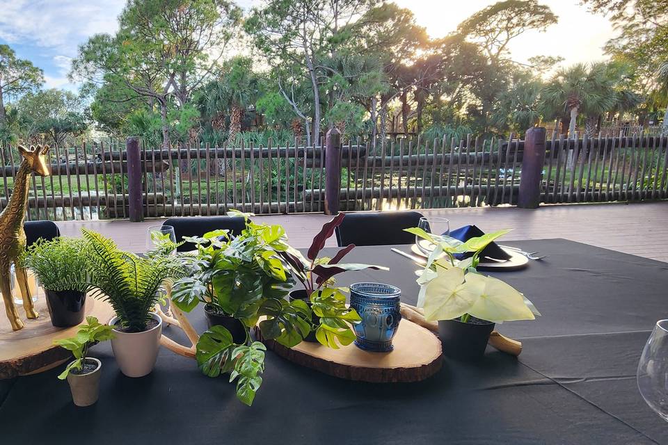 Cake Table