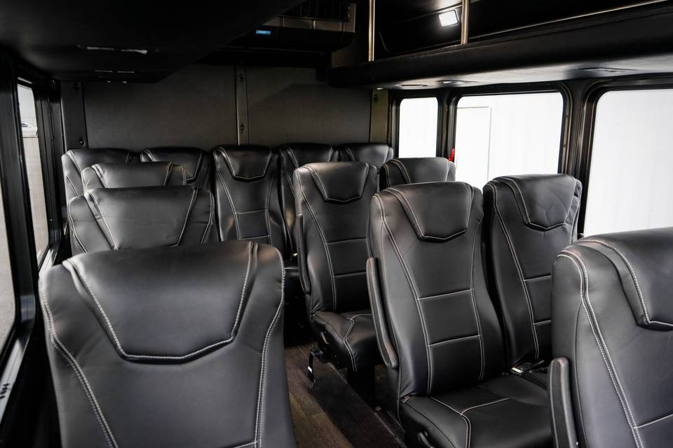 14 Passenger Executive Coach