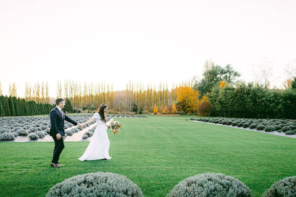 Wedding, Woodinville Lavender