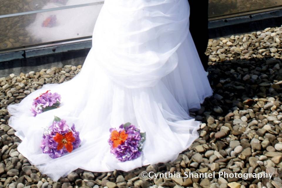 Cynthia Shantel Photography