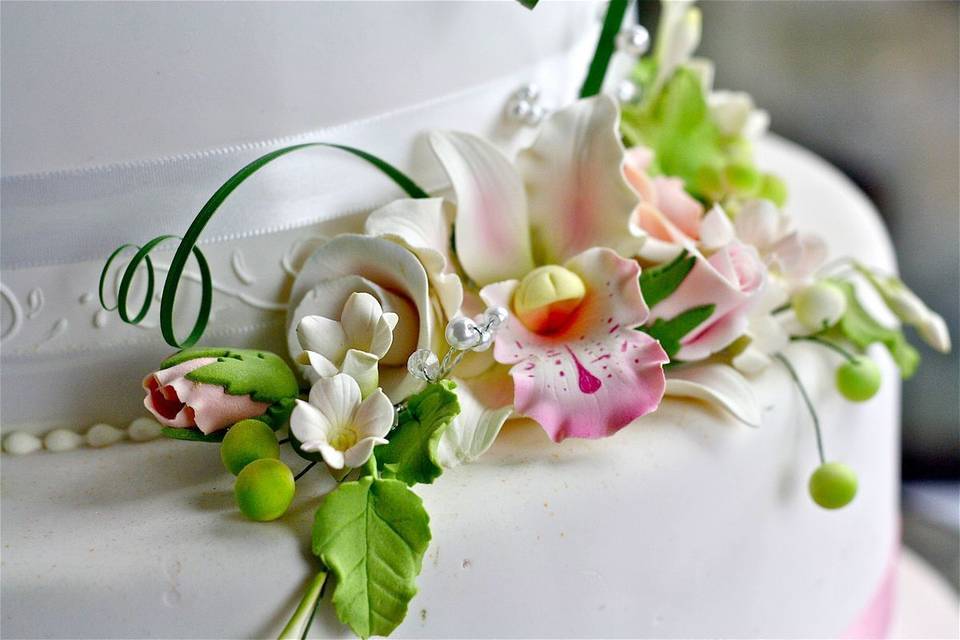 Cynthia Shantel Photography