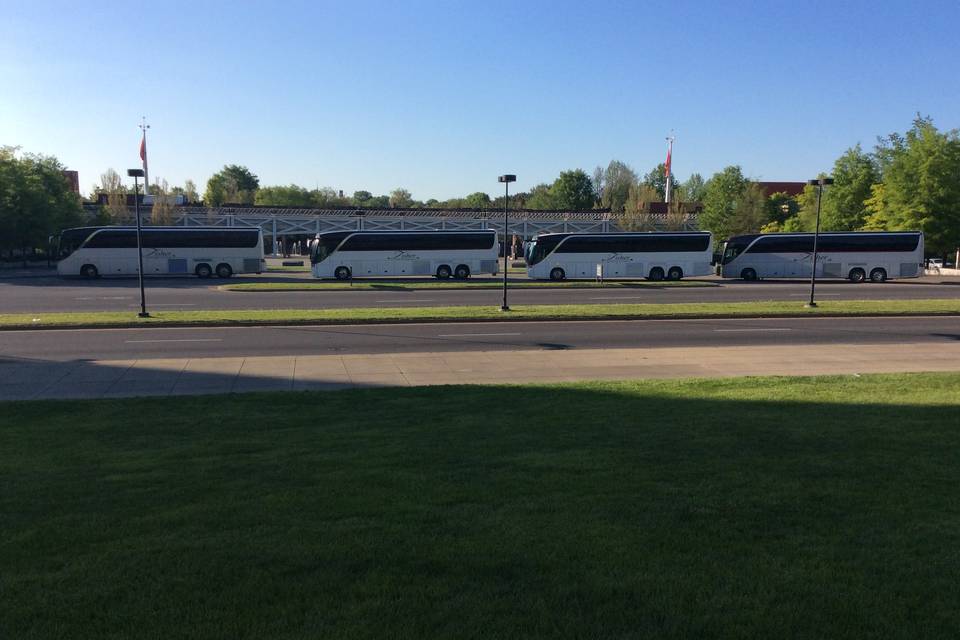 Large wedding party