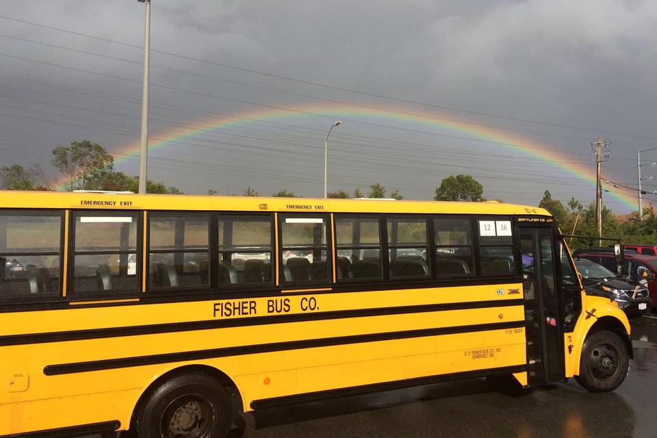 45 Pass. School Bus