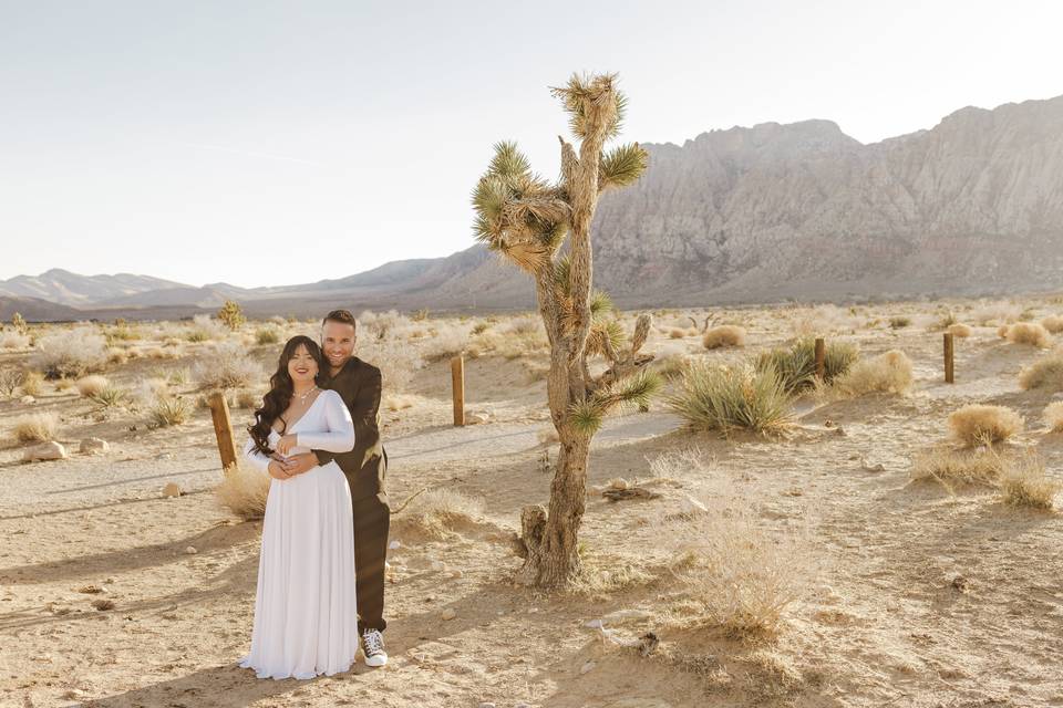 Las Vegas Based Wedding Storyt