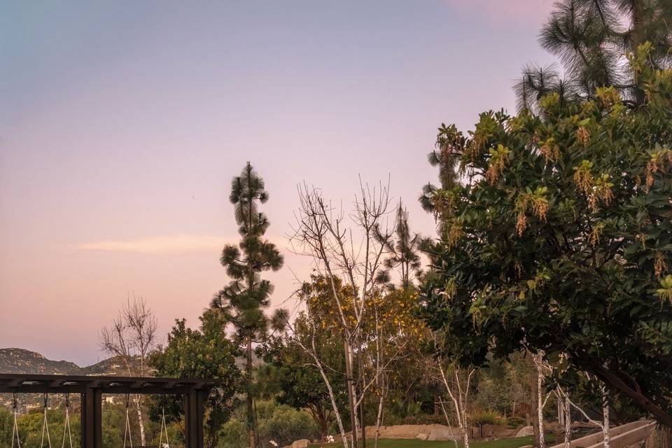 Saddlebrook Ranch