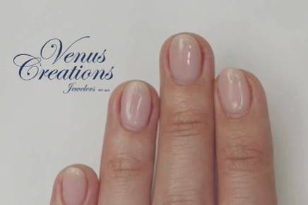 Venus Creations Jewelers