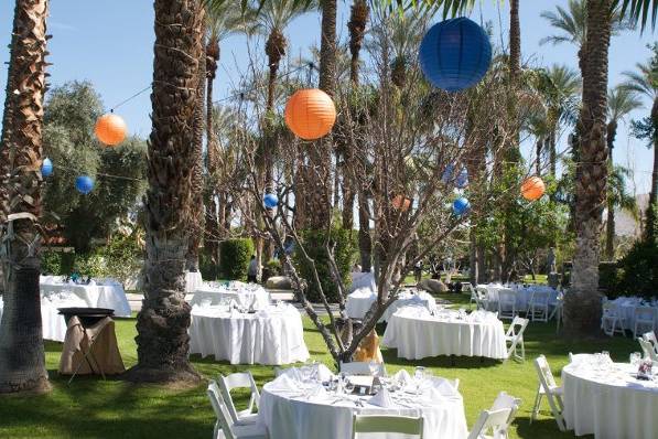 Special lighting hung form the palm trees in the  yard at the Cree Estate