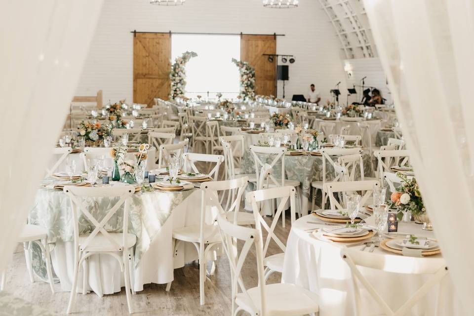 Arlene Chambers Photography