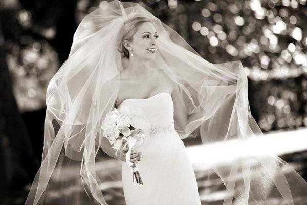 Bridal gown and veil