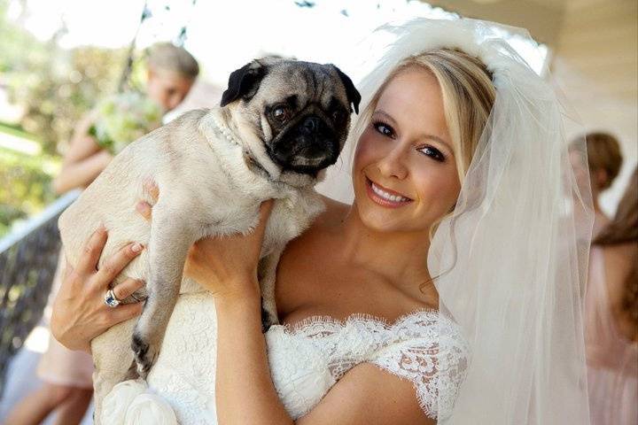 Bride and her pug