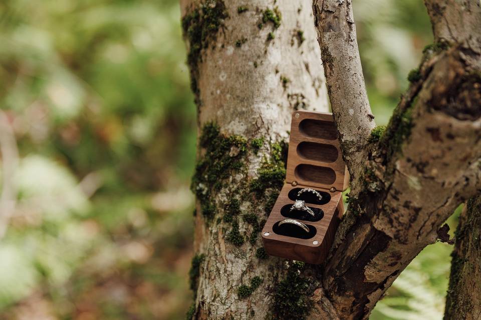 Rings in nature