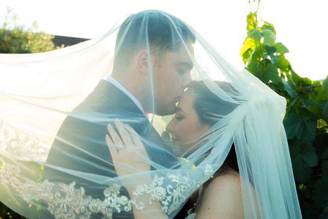 Veil Kiss