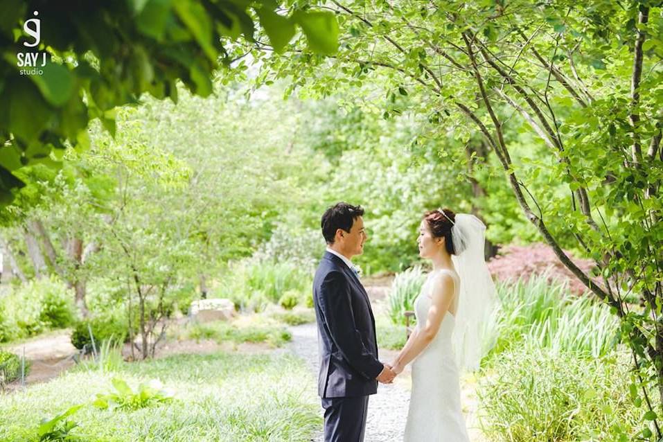 Groom and bride