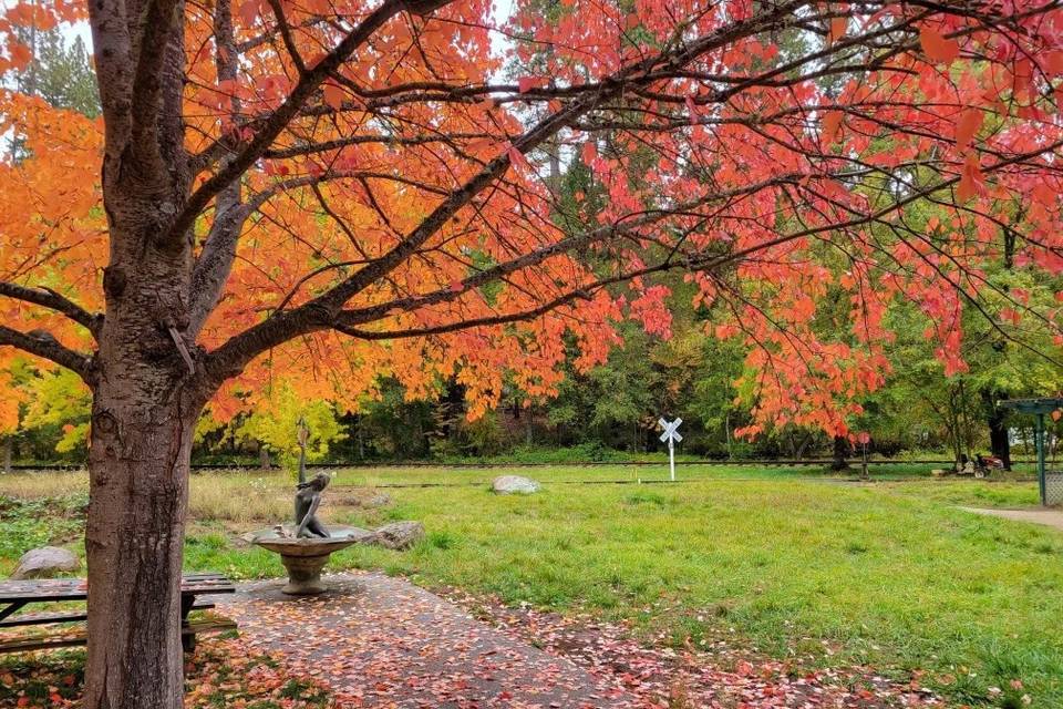 Upper Meadow in Fall