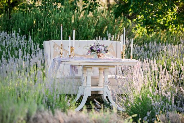 Cache Creek Lavender Farm ElopementMegan Wilkinson PhotographyFull Belly Farms FloralBlossom Farm Vintage Rentals and StylingTan Weddings & Events Coordination and Plant-Dyed Chiffon