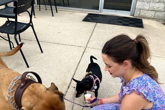 Pet Chauffeur