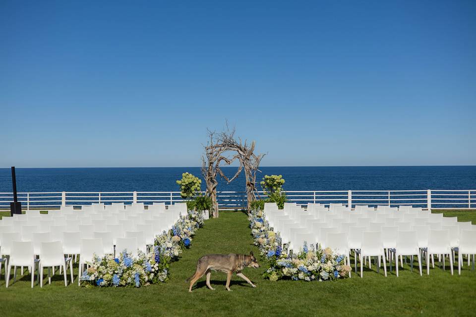 Oceanfront ceremony setup, dog