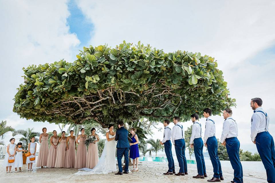 Special tree at wedding