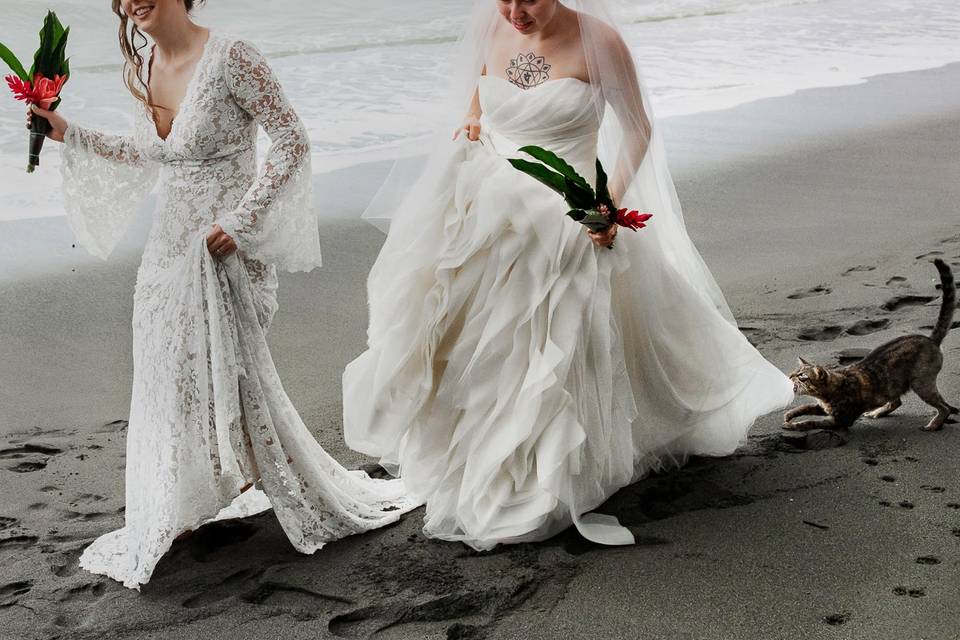 Brides walking with cat in Osa