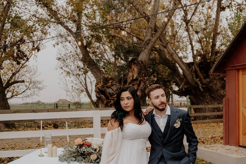 Modern Magnolia Events Co.